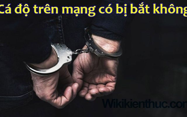 Cá cược trên trang web có bị bắt không?