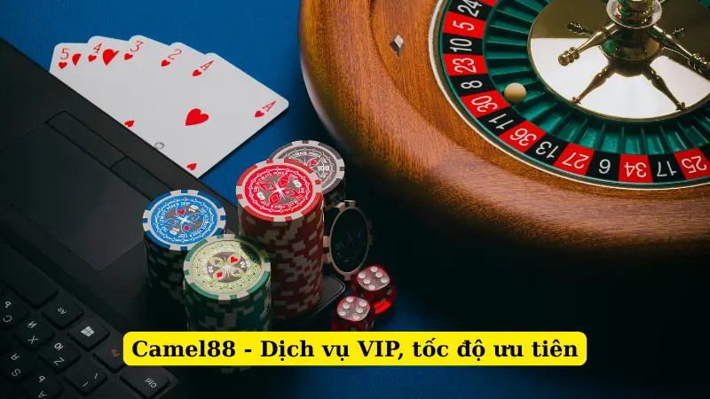 Camel88 - Dịch vụ VIP, tốc độ ưu tiên